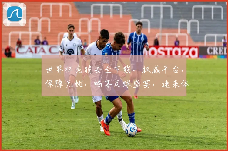 世界杯竞猜安全下载，权威平台，保障无忧，畅享足球盛宴，速来体验
