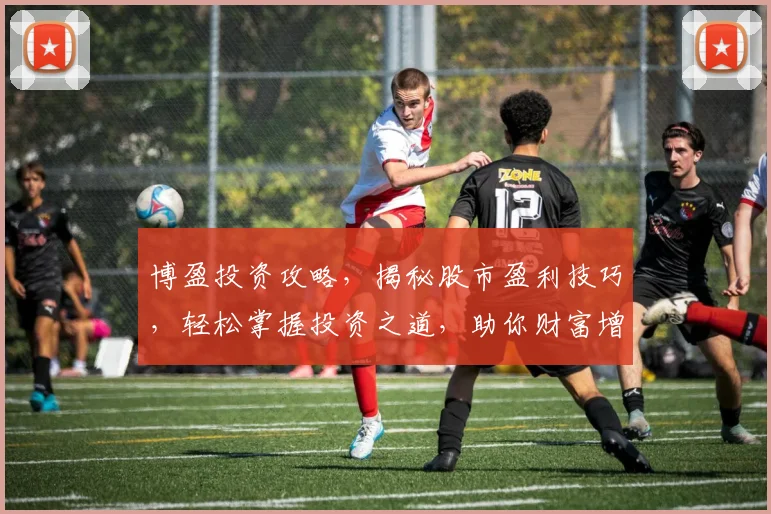 博盈投资攻略，揭秘股市盈利技巧，轻松掌握投资之道，助你财富增值