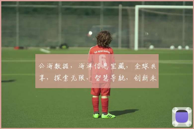 公海数据，海洋信息宝藏，全球共享，探索无限，智慧导航，创新未来，数据驱动。