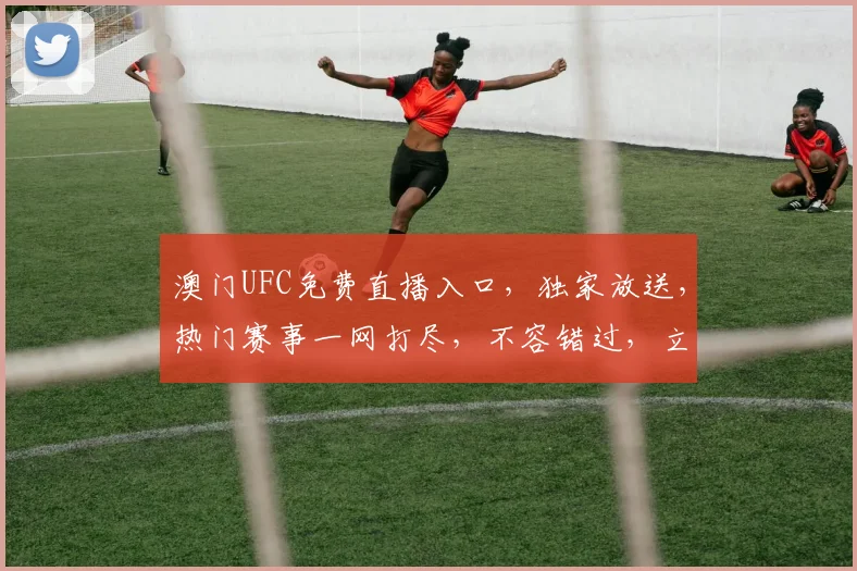 澳门UFC免费直播入口，独家放送，热门赛事一网打尽，不容错过，立即观看，体验非凡